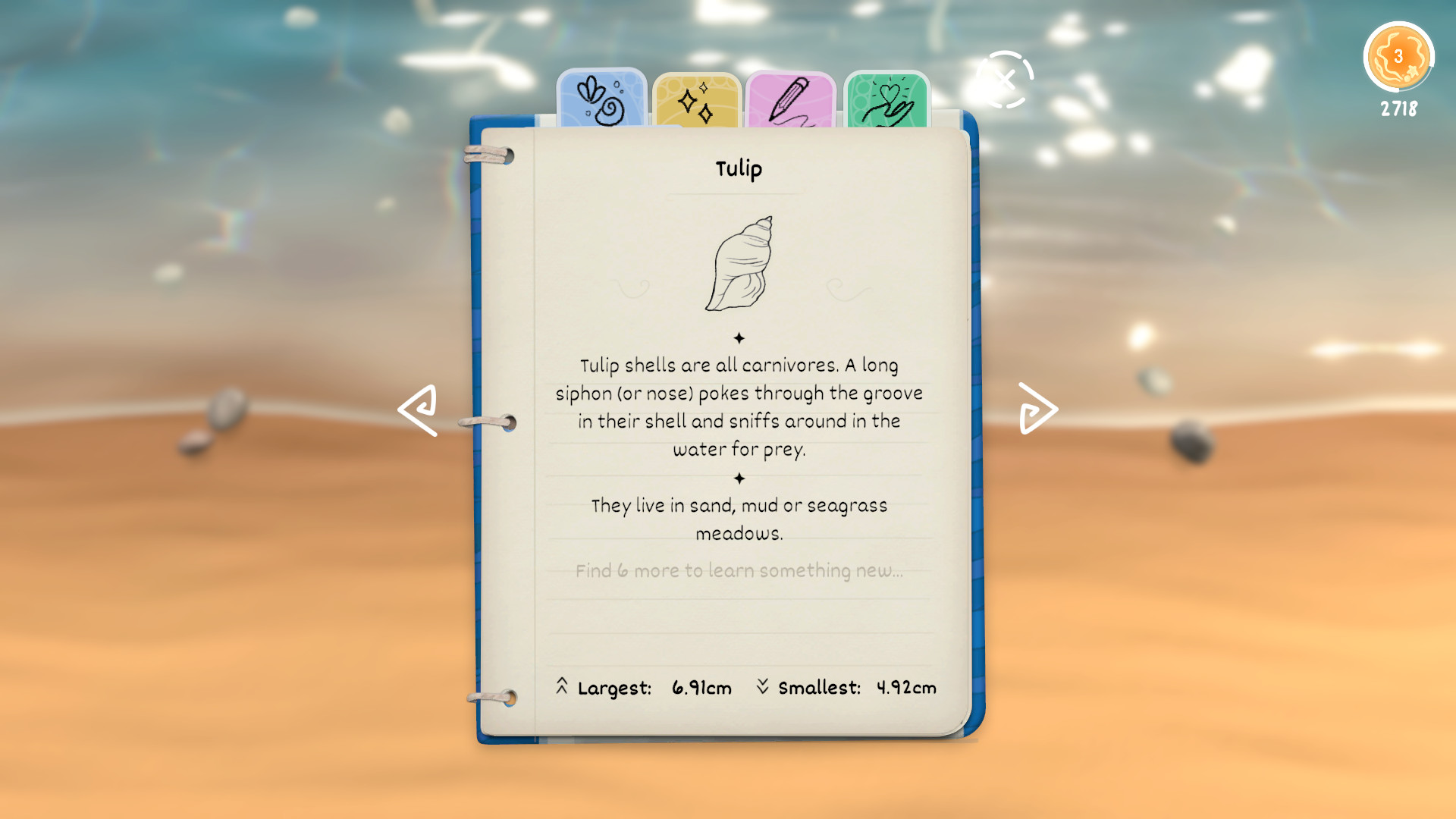 Gameplay de Seashell